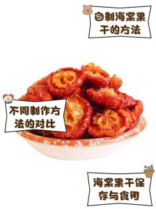 果脯的家常制作方法_传统技艺与现代科学的结合