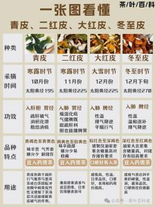 陈皮 家常做法_陈皮家常做法，美味养生！