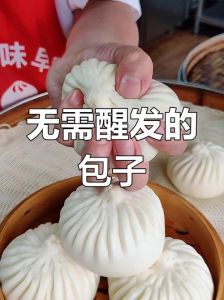 包子不用醒发的方法_中筋面加剑石速发粉，简单蒸出松软美味！