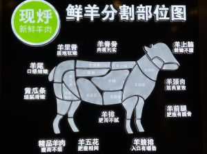 羊肚各部位图解_羊肚四部位各不同，涮火锅尝鲜味，洗整只成就感足！