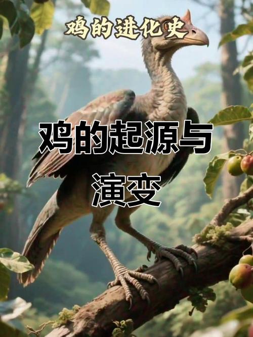 鸡靠什么繁衍后代_母鸡下蛋靠配种，21天孵小鸡