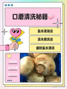 口蘑菇需要焯水吗_焯水时间看菜式
