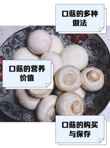 口蘑要煮多久才能熟_口蘑快煮易熟，炖汤看时，生食有风险