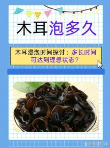 木耳泡10分钟能煮吗_木耳煮10分钟熟，泡发时间看口感