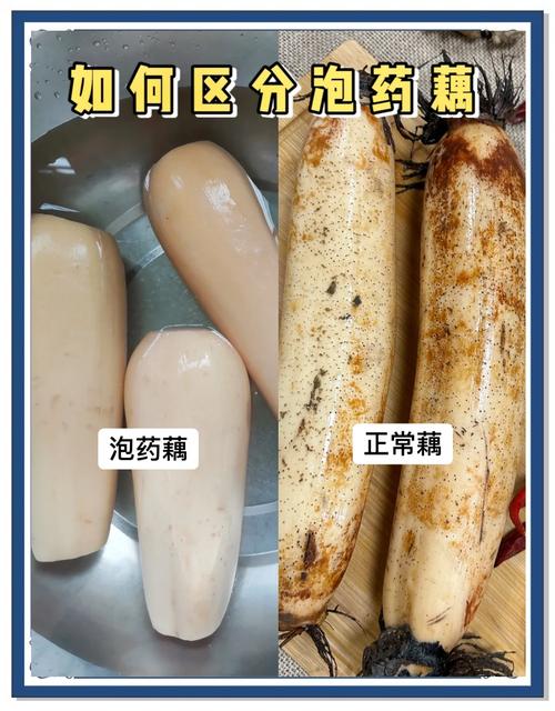 莲藕块焯水一分钟能熟吗_莲藕选洗妙招,吃得更美味 莲藕块焯水一分钟能熟吗_莲藕选洗妙招,吃得更美味