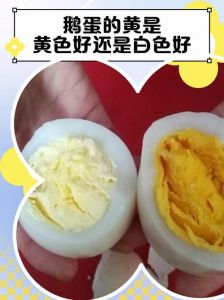 煮熟鹅蛋什么颜色_煮熟鸡蛋变白变黄是自然现象