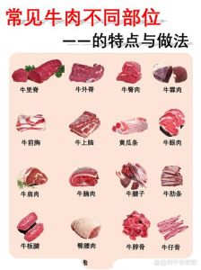 雪花燕翅是牛的什么部位_燕翅不同部位，烹饪方式大不同