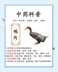 鸭肚是鸭的什么部位_鸭肚鸭胗怎么选？口感营养大不同
