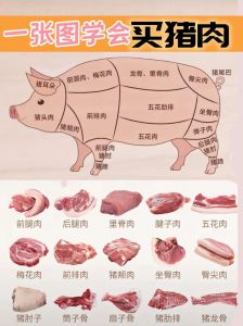 猪上肉是哪个部位图片_肥瘦怎么挑？