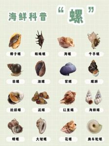 螺蛳吃哪个部位图解_鲜甜可口，食用有讲究