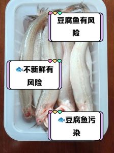 食腐性鱼有哪些_食腐鱼净化水质 生态保护与利用