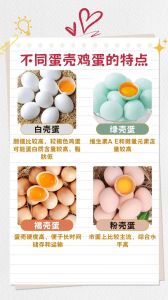鸡蛋壳颜色不同有什么区别_鸡蛋壳颜色多样，营养好坏与颜色无关，新鲜度更重要