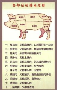猪各个部位肉图解_香酥肉炖煮溜炒等