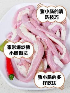 猪肠各部位名称图解_管与腺如何助营养吸收