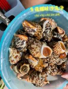 花甲螺一般煮几分钟_花甲螺炒煮技巧，鲜嫩美味看这里