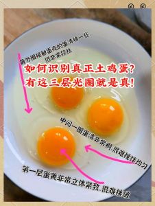 真假鸡蛋煮熟后对比_看壳闻味辨优劣