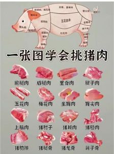 猪肉各部位名称及俗称_肥瘦怎么炒？
