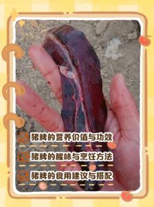 猪舌是不是动物内脏_猪舌营养价值高，适量食用需谨慎