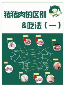 猪的每个部位肉的叫法_包馅红烧爆炒各不同