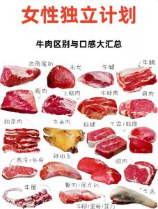 牛腩部位示意图_红烧牛腩卤牛腱涮里脊煎牛排慢炖牛胸肉