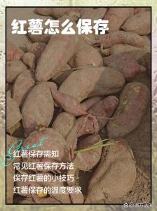 蒸好的红薯吃不完怎么保存_蒸红薯吃不完？冷藏冷冻或晾晒！