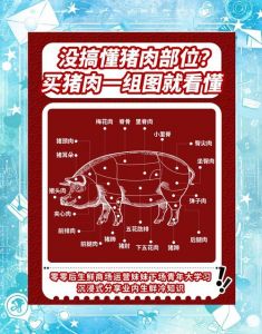 猪肉最嫩的部位图解_猪肉部位不同口感各异，里脊嫩，梅花香，臀尖鲜，五花肉炖，排骨香