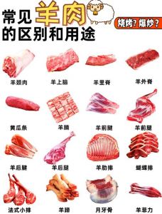 羊筒子骨是哪个部位_羊筒子骨炖汤香，肱骨烤制味更浓
