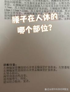 腰子跟肾是一个部位吗_腰子就是肾，保护肾脏很重要