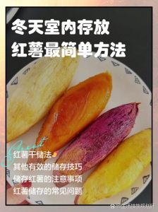 冬天煮熟的红薯能放几天_红薯别放久，冷藏三四天，吃前要加热