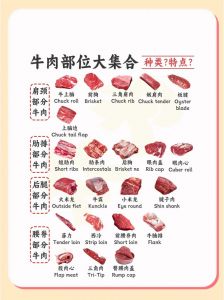 牛各种肉部位图片_牛肉部位识别与烹饪技巧