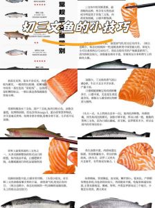 刺身和三文鱼区别_鲜美生食好选择