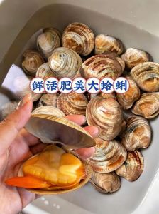 蛤蜊开口就熟了吗_蛤蜊煮熟看壳开再煮两分钟