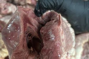 牛心切片煮多久能熟_牛心怎么煮？清洗腌制烹饪技巧