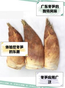 煮冬笋多长时间能熟_竹笋烹饪时间，老嫩不同做法