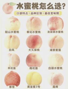 水蜜桃产业一二三产区的区别解析：产业链结构与特点探讨