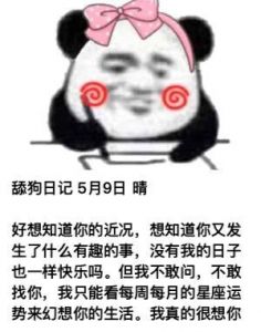 舔狗日记：吃兔兔的细腻情感与美食文化探索