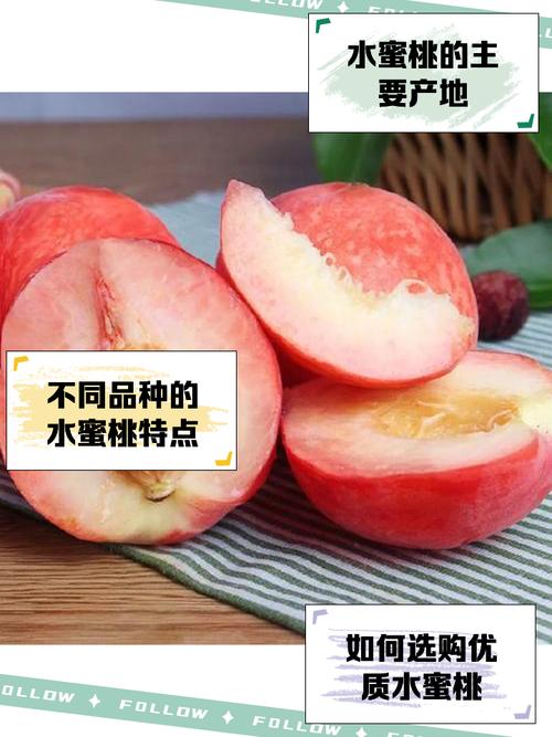 水蜜桃哪里的产地最优质？探索优良产地及品质特色分析
