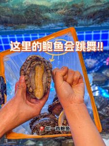 舔鲍鱼时闻到口水味的体验与食材新鲜度的关系解析