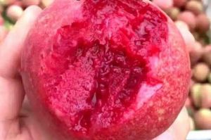 黑桃与蜜桃的区别详解：两种桃子在外观、口感与食用方式上的不同特点分析