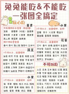男生吃小兔兔的细节：关于这道特色美食的制作与品尝过程分析