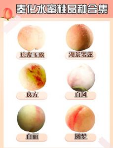 亚洲水蜜桃三大产区：特色风味与采摘做法的详解
