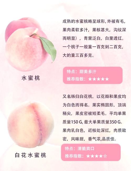 水蜜桃一级与二级的区别详解及选购指南
