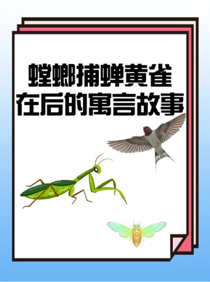 螳螂为什么要吃掉自己的配偶_母螳螂吃配偶，饿极了！