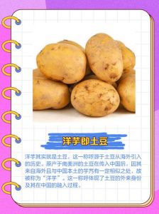 洋芋头和土豆的区别_洋芋土豆马铃薯，同一种食材，各地不同叫法！
