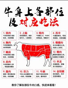上三筋是牛的哪个部位_牛肉珍品，鲜嫩多汁好选择！