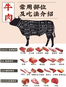 牛体各部位名称_牛肉部位做法全知道，炖烤炒涮样样行！