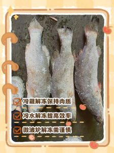 在寒冷的冬天湖里的鱼会冬眠_沉底不动防冻，非真冬眠