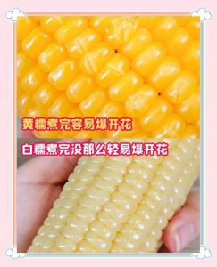 2分熟玉米和8分熟玉米哪个重_甜糯不粘牙，营养好选择