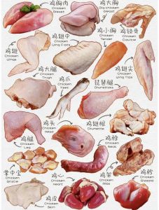 鸡的120个部位图解_鸡冠喙识品种性别，羽毛翅膀分公母