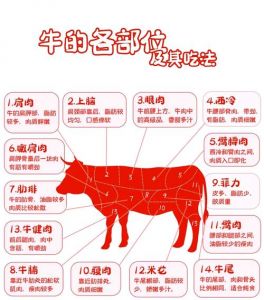 牛大块肉是哪部位的_牛肉部位不同，做法各异